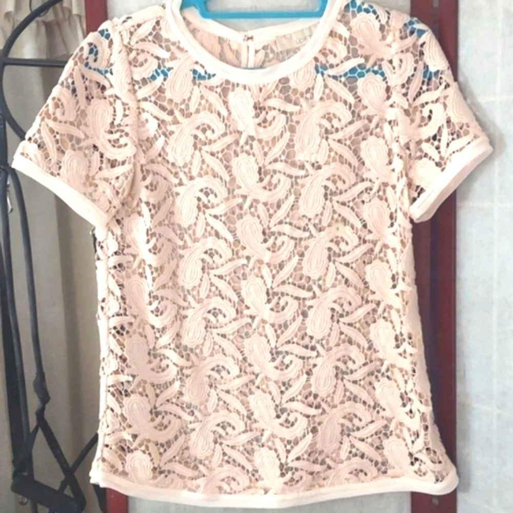 Ann Taylor LOFT Pale pink Knit lace Short Sleeve Top Sz S Nwt